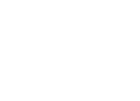 a dithered picture of a rock